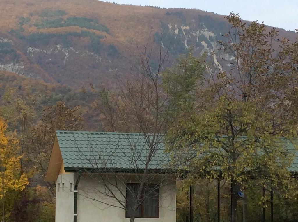 Taripiri Villa Ambrolauri Exterior foto