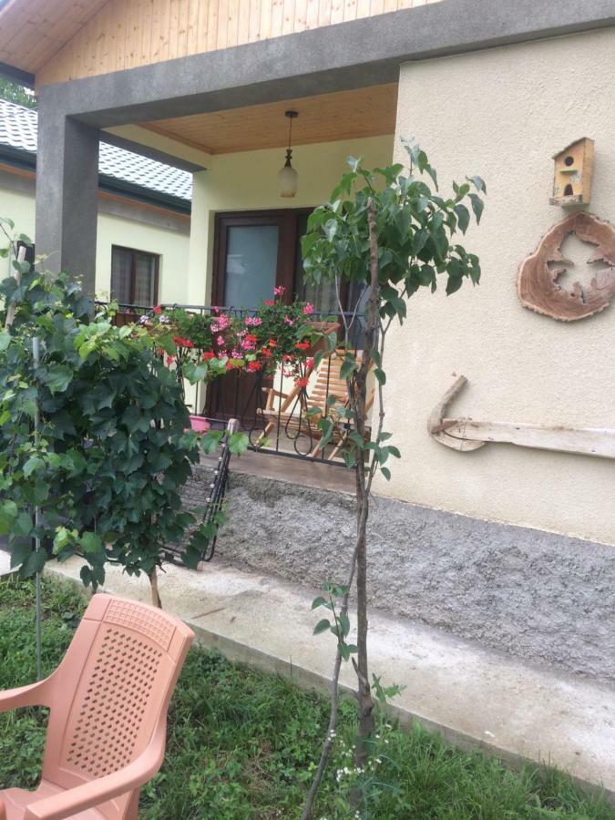 Taripiri Villa Ambrolauri Exterior foto
